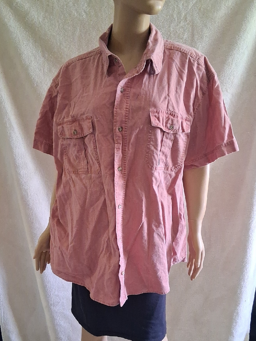 Route 66 Casual Short-Sleeve Button-Down Shirt in Dusty Rose